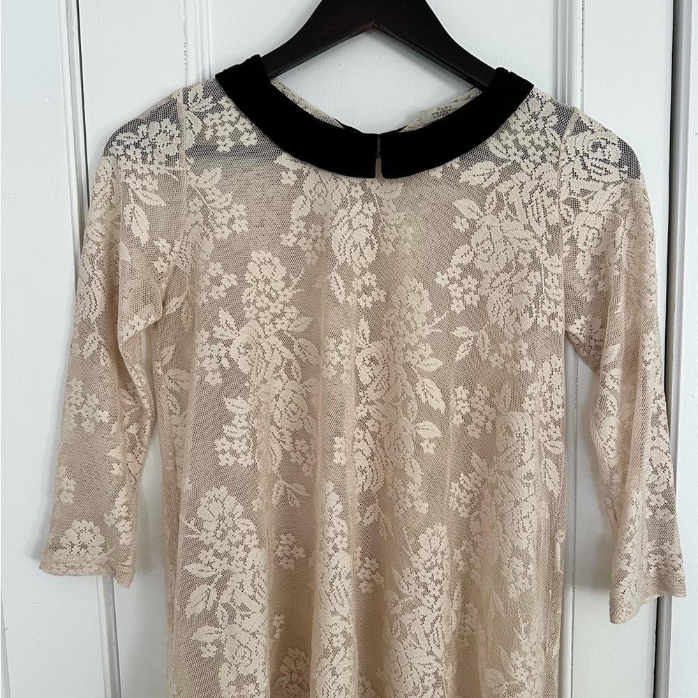 Zara Cream Lace Top with Black Collar